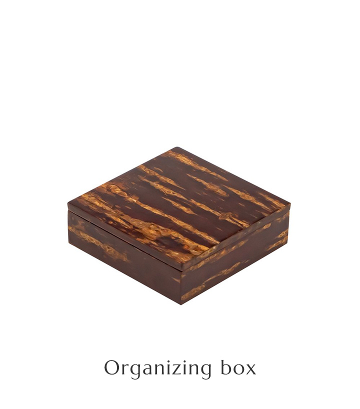 Organizing box